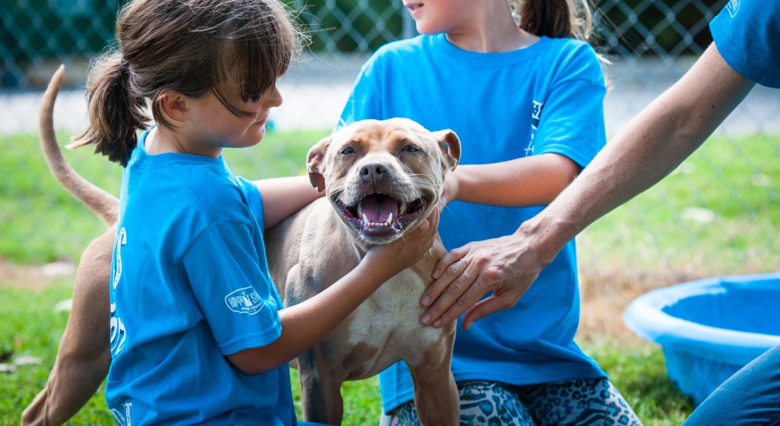 A dog being pet by animal shelter volunteers