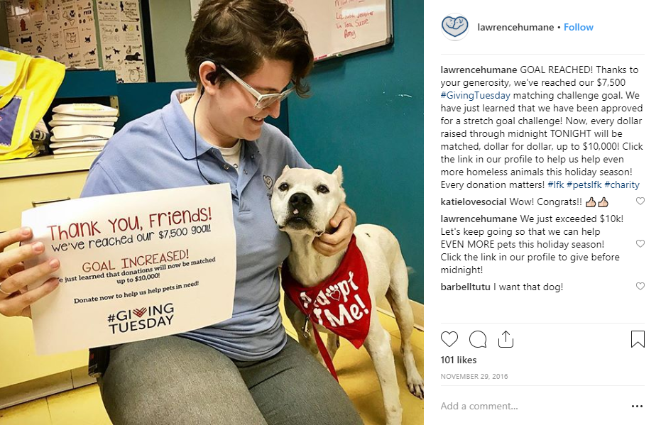 Lawrence Humane's GivingTuesday campaign