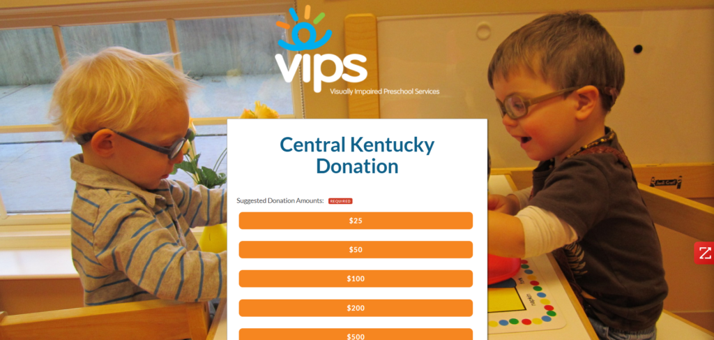 A donation page from Visually Impaired Preschool Services showing two young children playing a game together.