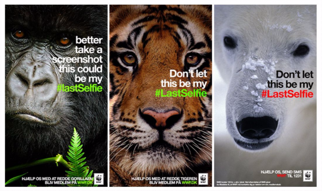 World Wildlife Fund nonprofit social media example