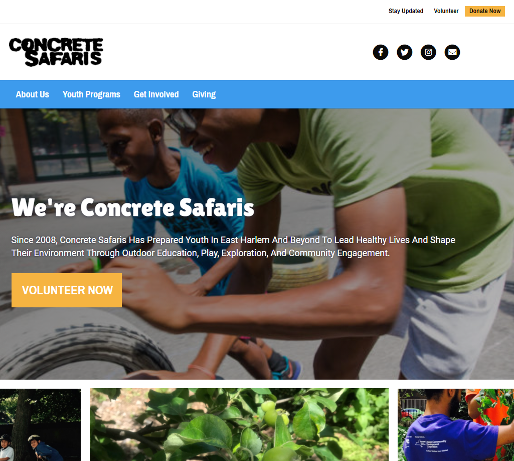 Concrete Safaris charity website homepage