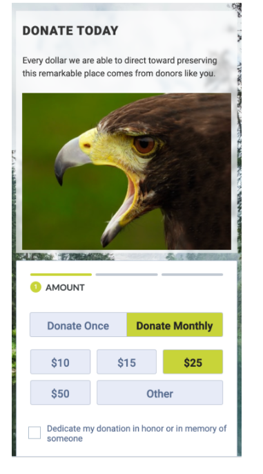 mobile version of neon crm donation form