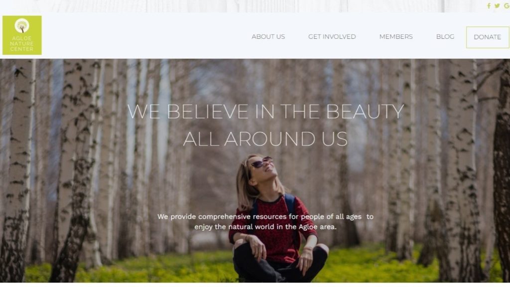 A nonprofit homepage with a hero image of a woman sitting in nature staring up at the forest canopy and smiling