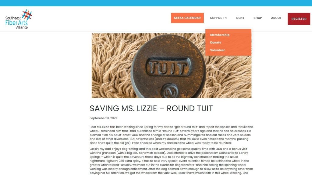 A nonprofit blog post titled "Saving Ms. Lizzie - Round Tuit."
