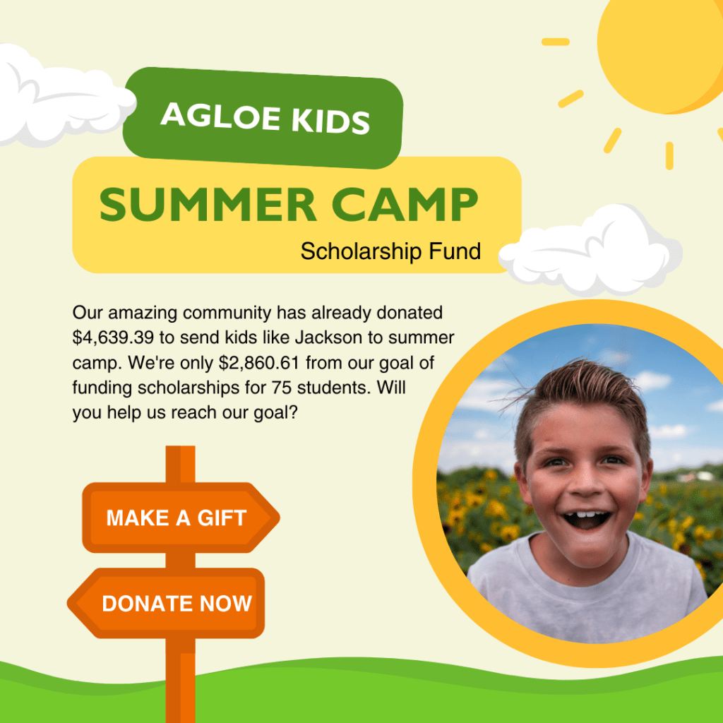 A social media graphic includes a picture of a happy-looking boy standing in a field of flowers. The rest of the image is illustrated with rolling hills, a shining sun, and fluffy clouds. The text on the image reads: “Agloe Kids Summer Camp Scholarship Fund. Our amazing community has already donated $4,639.39 to send kids like Jackson to summer camp. We're only $2,860.61 from our goal of funding scholarships for 75 students. Will 
you help us reach our goal?” Below the text is a sign post with two buttons: One says “Make a Gift” and the other says “Donate Now.”