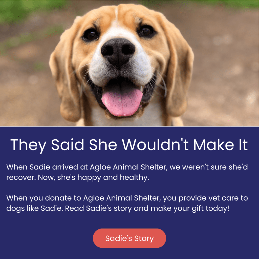 Donating everybody #1 ! (With memes) Pls donate