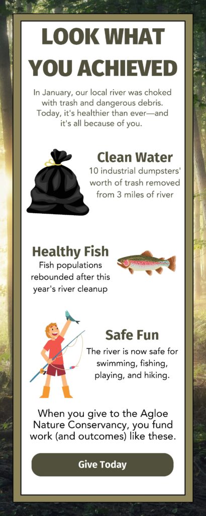 This is an infographic for a nonprofit whose donors helped clean up a local river. The image is titled “Look What You Achieved” and includes language about how donors’ contributions resulted in lots of trash being removed from the river, rebounding fish populations, and a river that’s safe for swimming, fishing, playing, and hiking. The bottom of the graphic reads, “When you give to the Agloe Nature Conservancy, you fund work (and outcomes) like these.” Beneath that text is a button labeled “Give Today.”