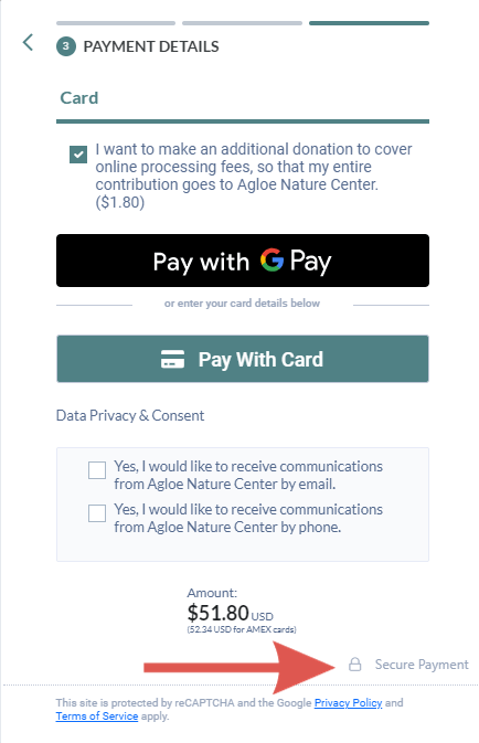 In this screenshot, a lock icon appears on a donation form near the fields donors use to enter their credit card information.