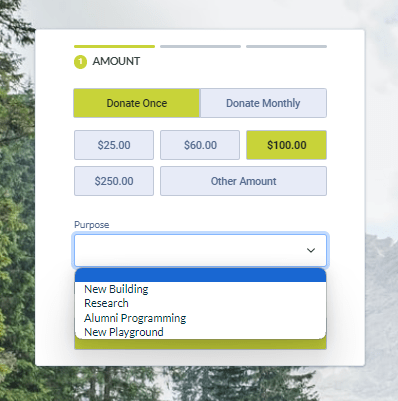 A screenshot of a donation form created in Neon CRM with a drop down menu that donors can use to assign a "purpose" to their gift.